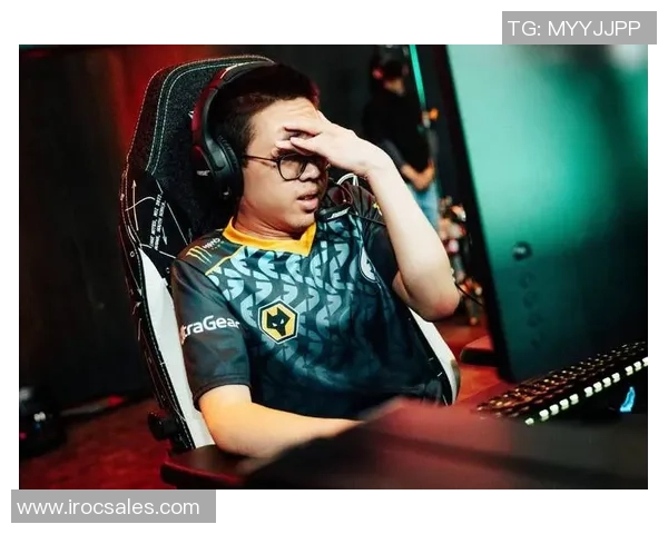 RNG在精英赛中的个人能力表现分析与评价 RNG在精英赛中的个人能力表现分析与评价