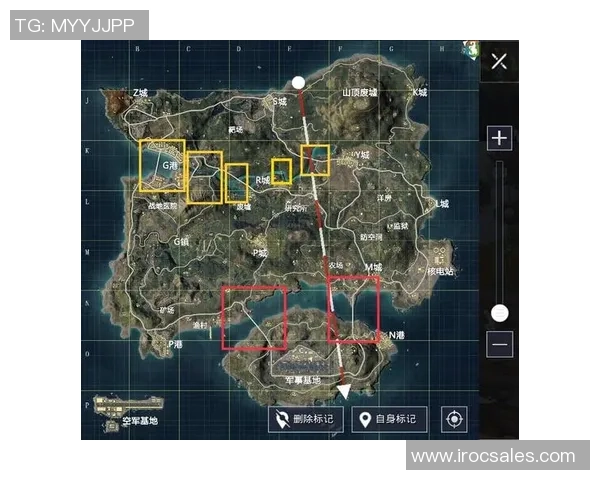 和平精英战术解析：深入探讨JDG战队的控制策略与团队协作